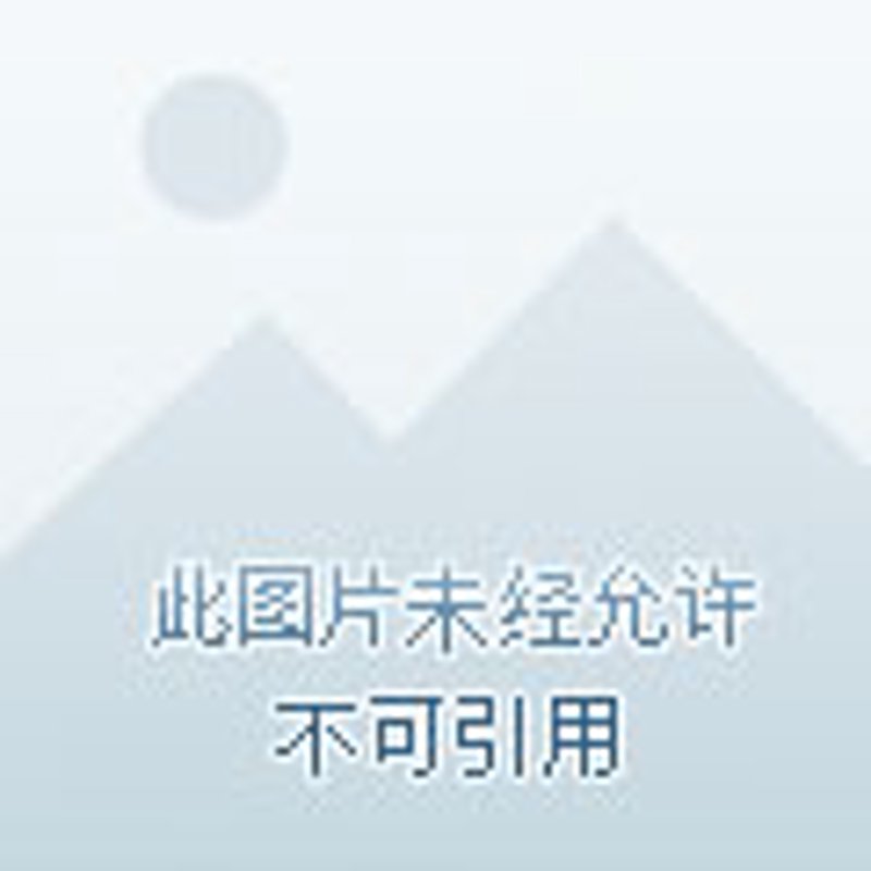 货运平台